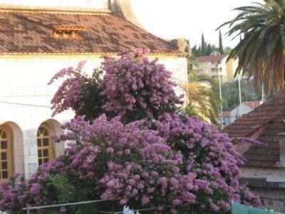 Villa Anna Milna (Brac) Exterior foto